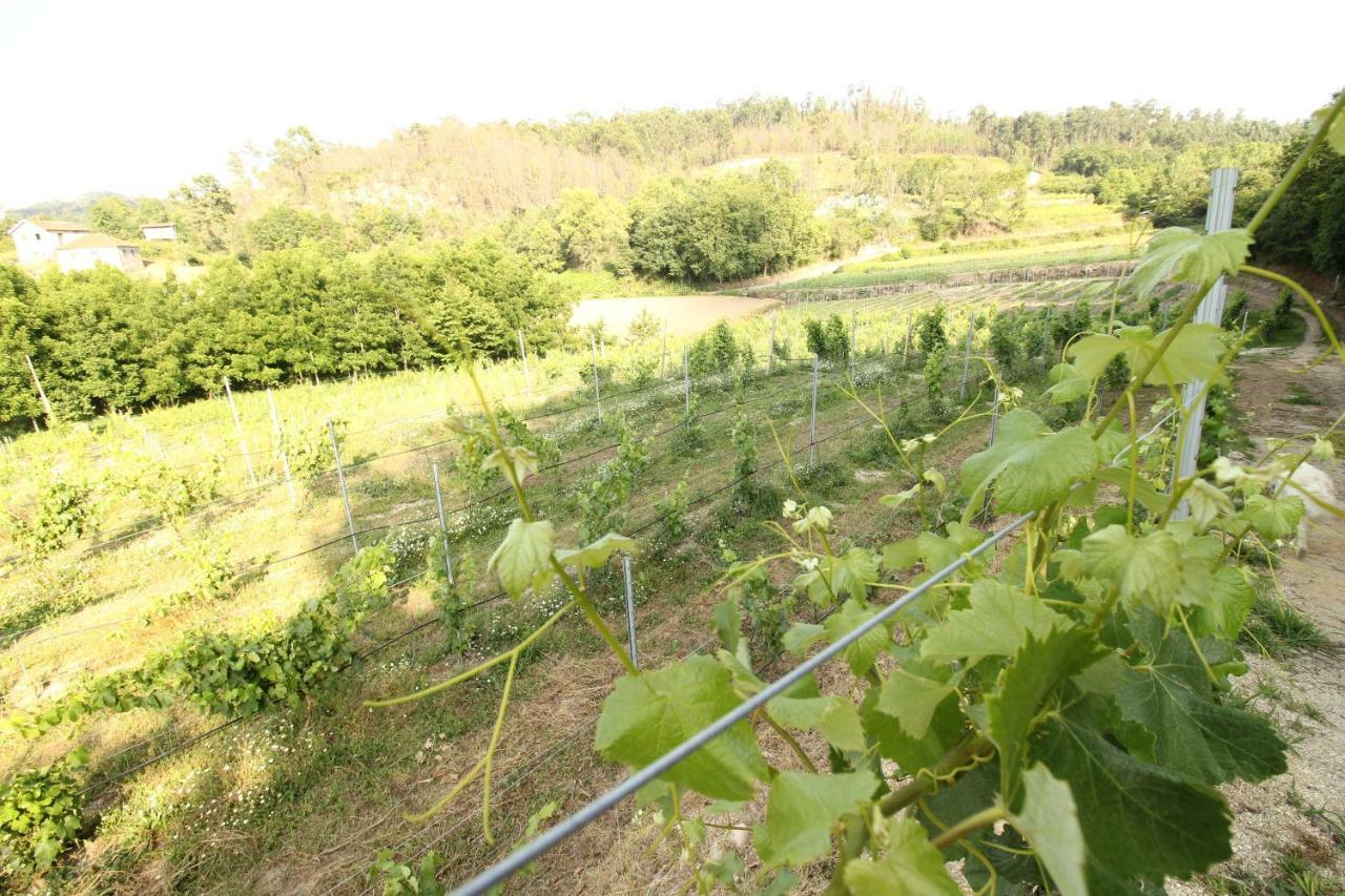 Quinta D'Areda Wine&Pool Experience Pension Fafe Buitenkant foto