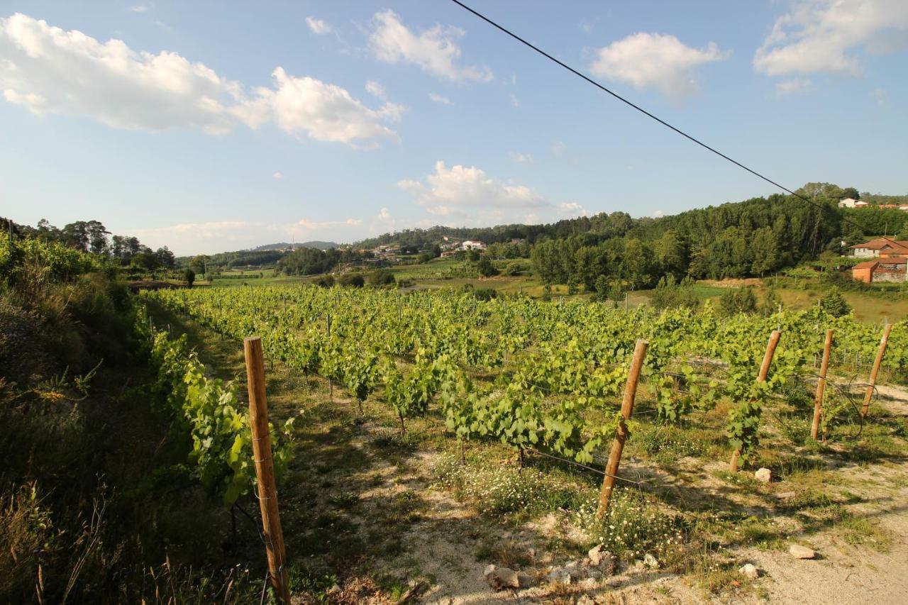 Quinta D'Areda Wine&Pool Experience Pension Fafe Buitenkant foto