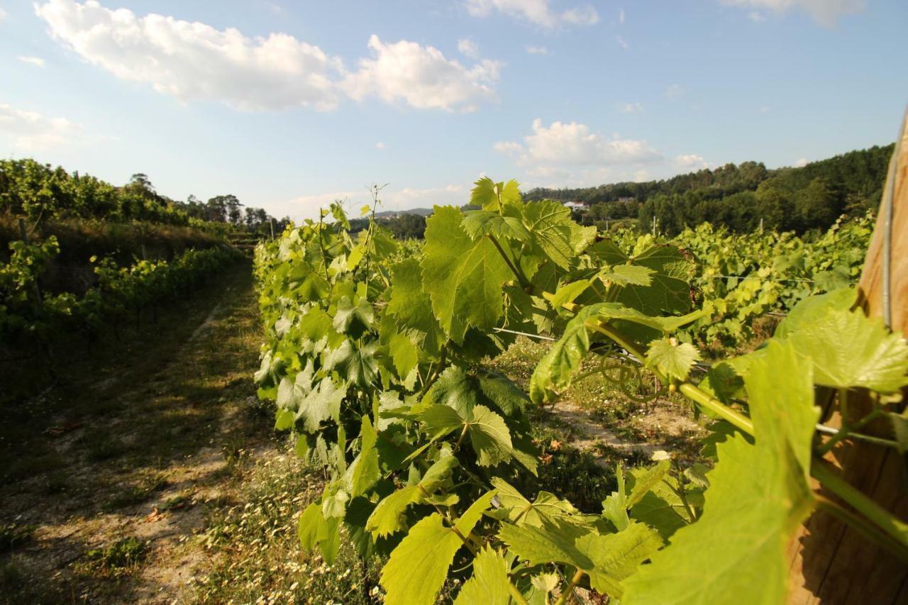 Quinta D'Areda Wine&Pool Experience Pension Fafe Buitenkant foto